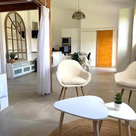 Le Cocon Pres D'albi Saint-Gregoire (Tarn)