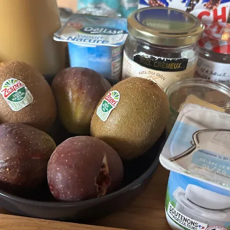 Le Cocon Pres D'albi Casa de Férias