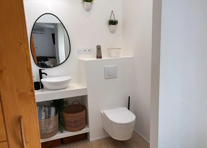 Le Cocon Pres D'albi Holiday home *