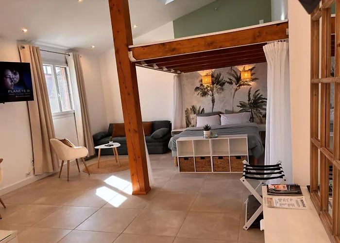 Le Cocon Pres D'albi Holiday home *